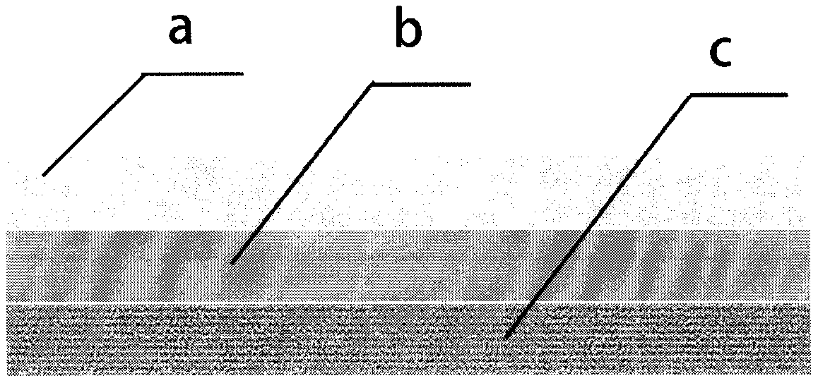 Testis cooling patch and preparation method thereof