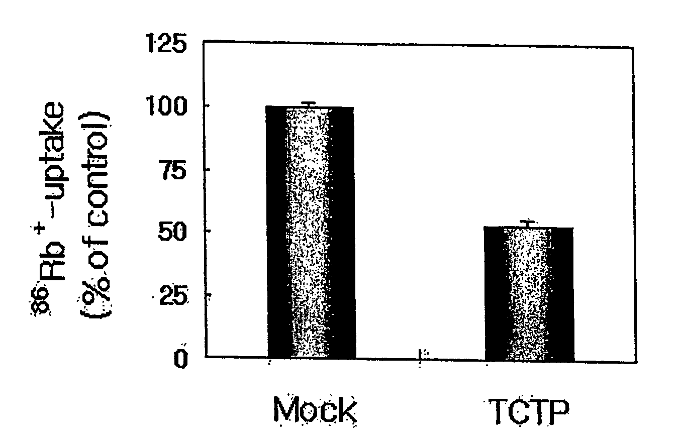 Composition For Screening Anti-Hypertension Drug Comprising Mammal Tctp Gene or Its Protein Product, and Method For Screening Anti-Hypertension Drug Using Said Composition