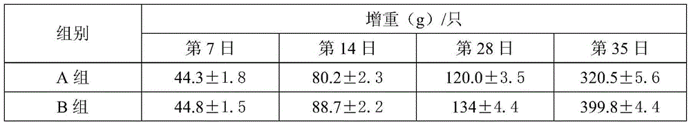 Animal feed processed by aid of ginkgo biloba sarcotesta and method for preparing animal feed