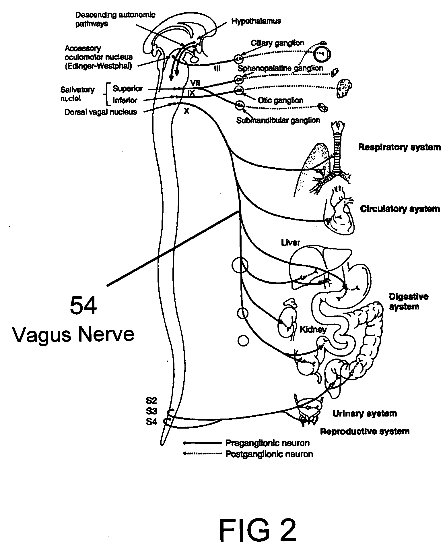 Method and system for vagal blocking and/or vagal stimulation to provide therapy for obesity and other gastrointestinal disorders