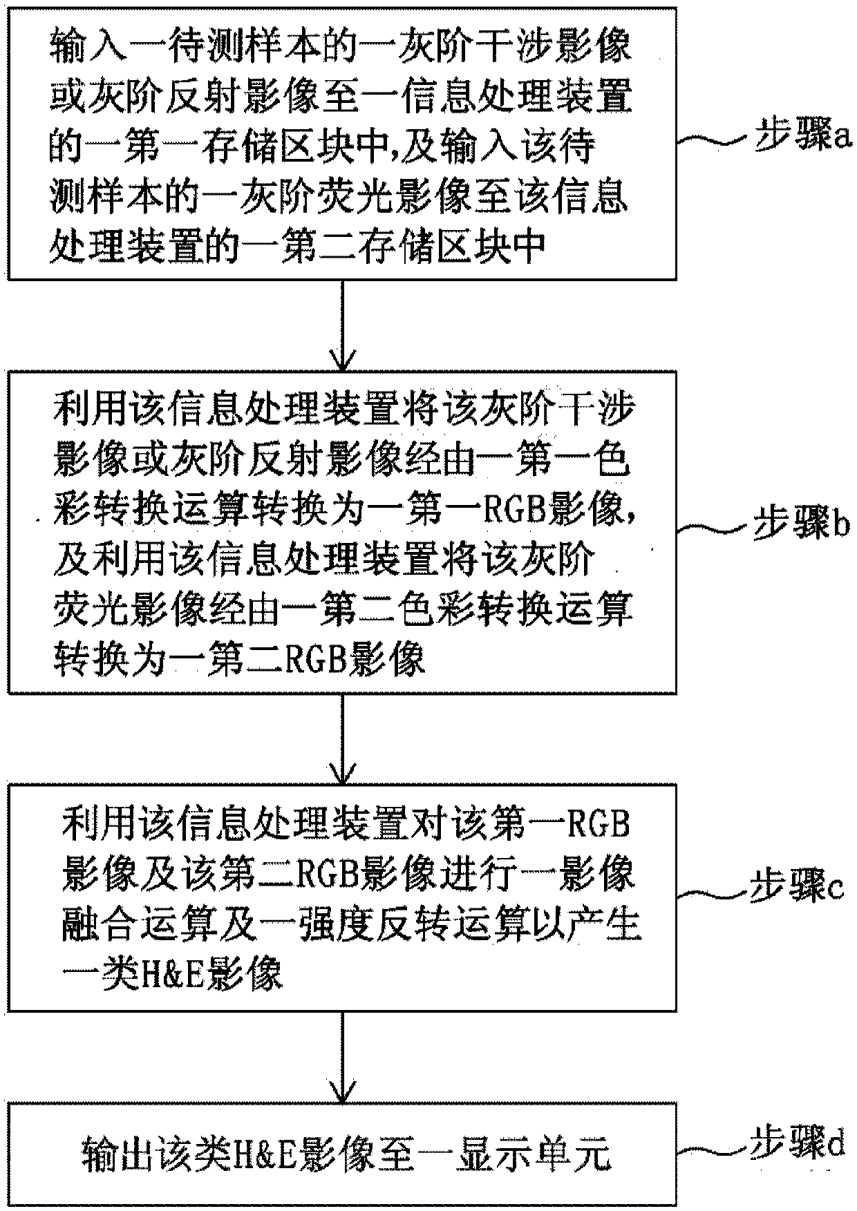 Synthetic method of H&E-like image and optical system adopting same