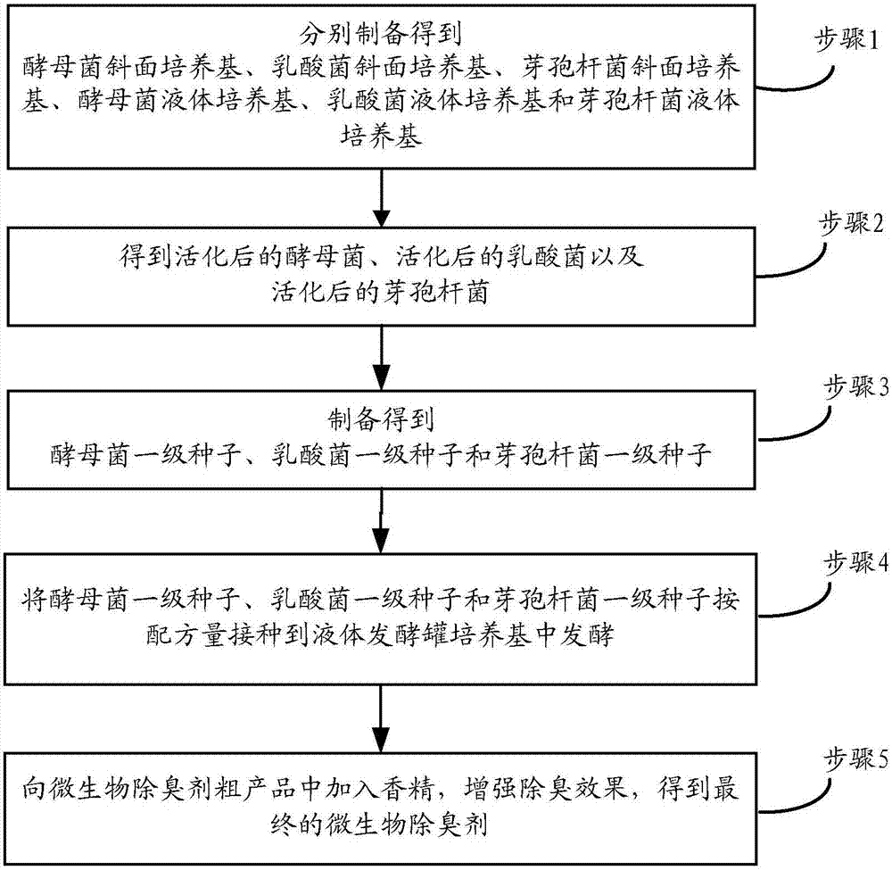 Microbial deodorizer and preparation method and usage thereof