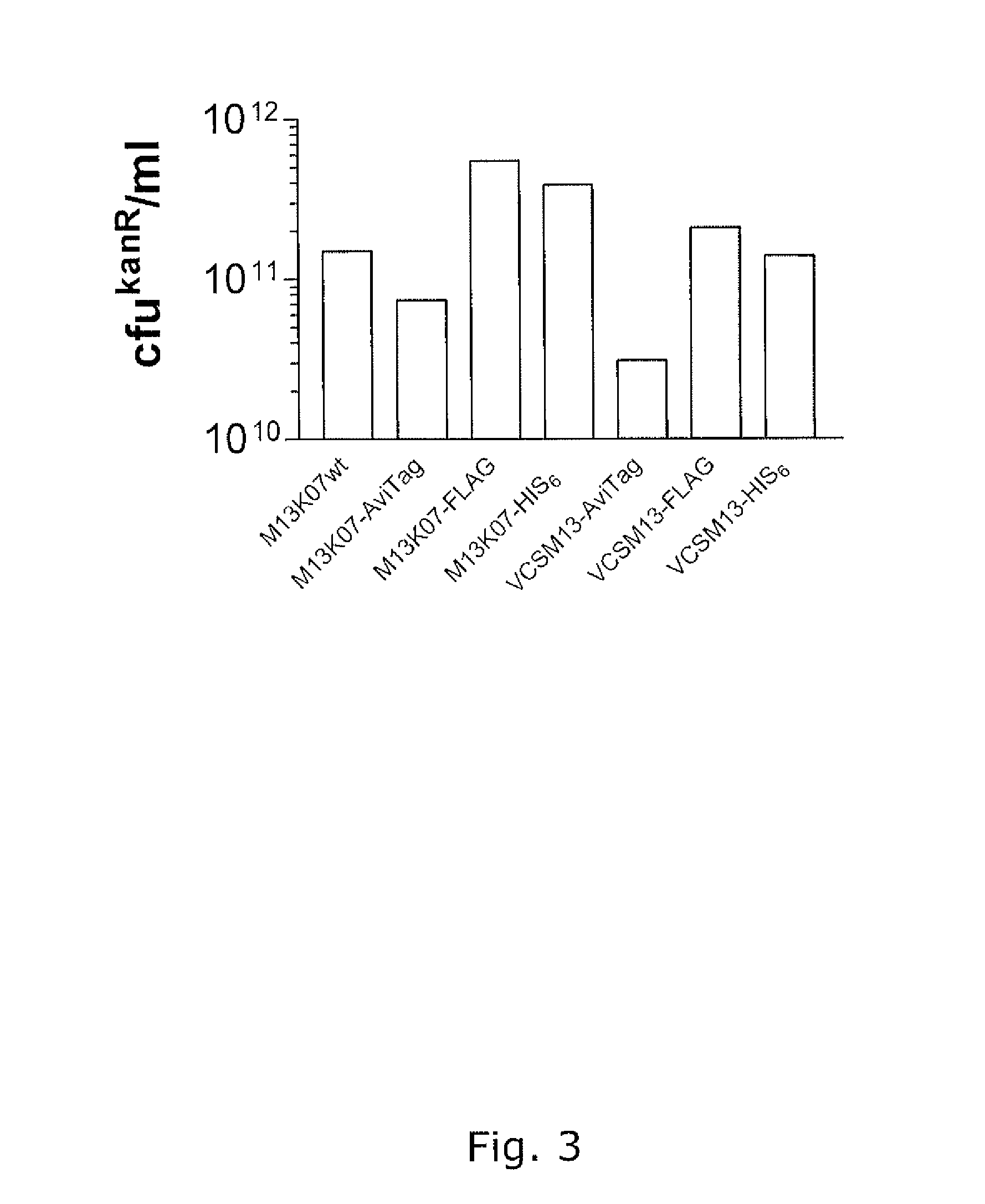 Pvii phage display