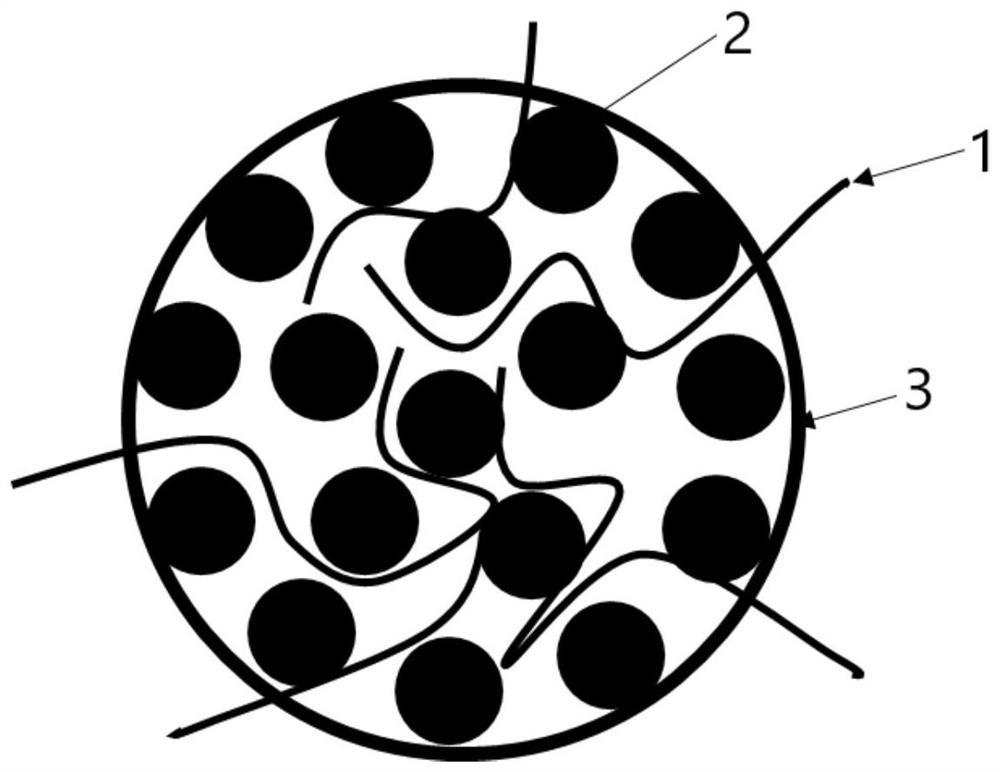 A positive electrode composite material, coating device, preparation method and application