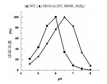 Construction of recombinant strain capable of producing arginine deiminase and directional modification method thereof