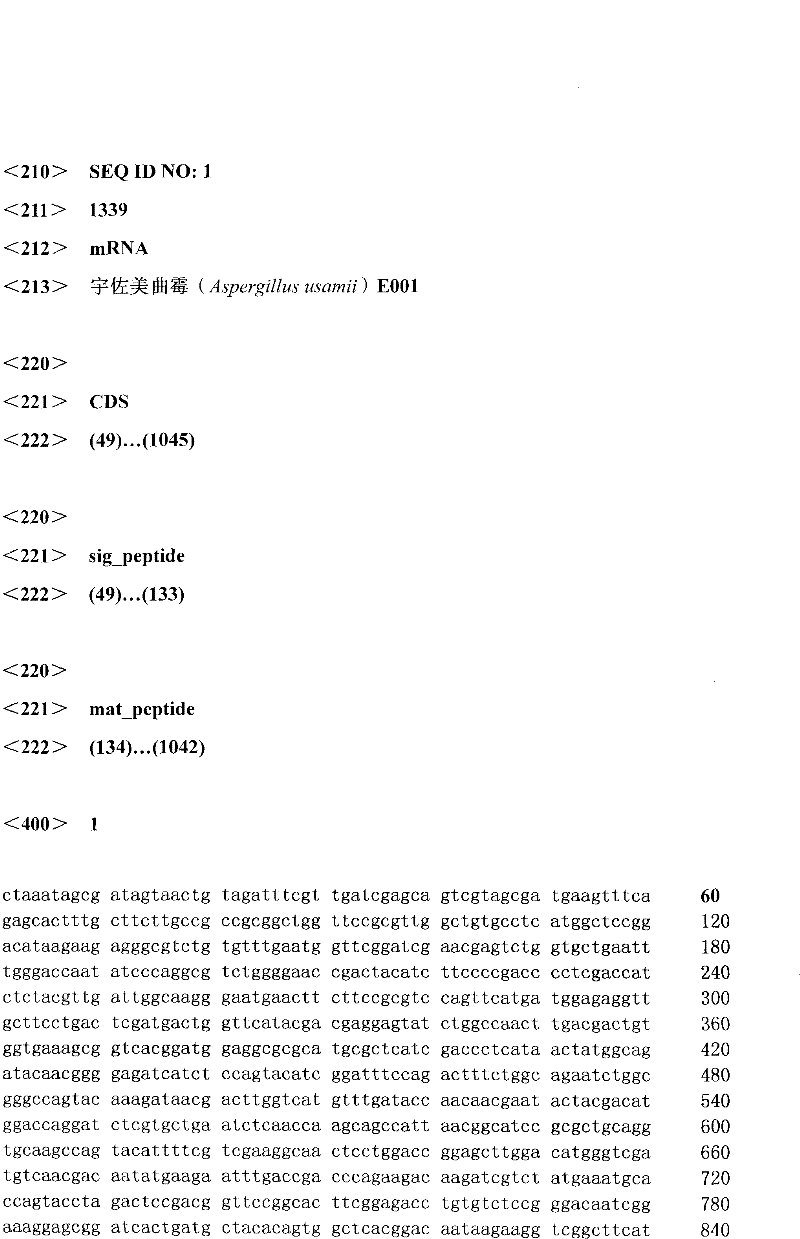 Cloning and analysis of endo-beta-1,4-glucanase(Aus cel5A) gene