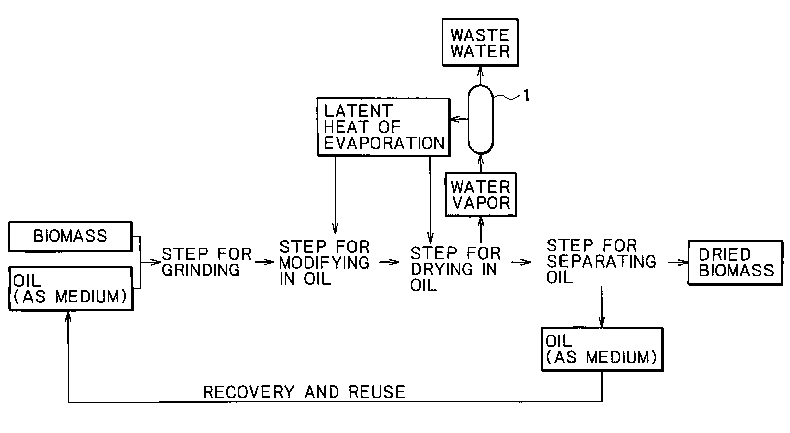 Method for drying plant-derived biomass and method for producing biomass fuel