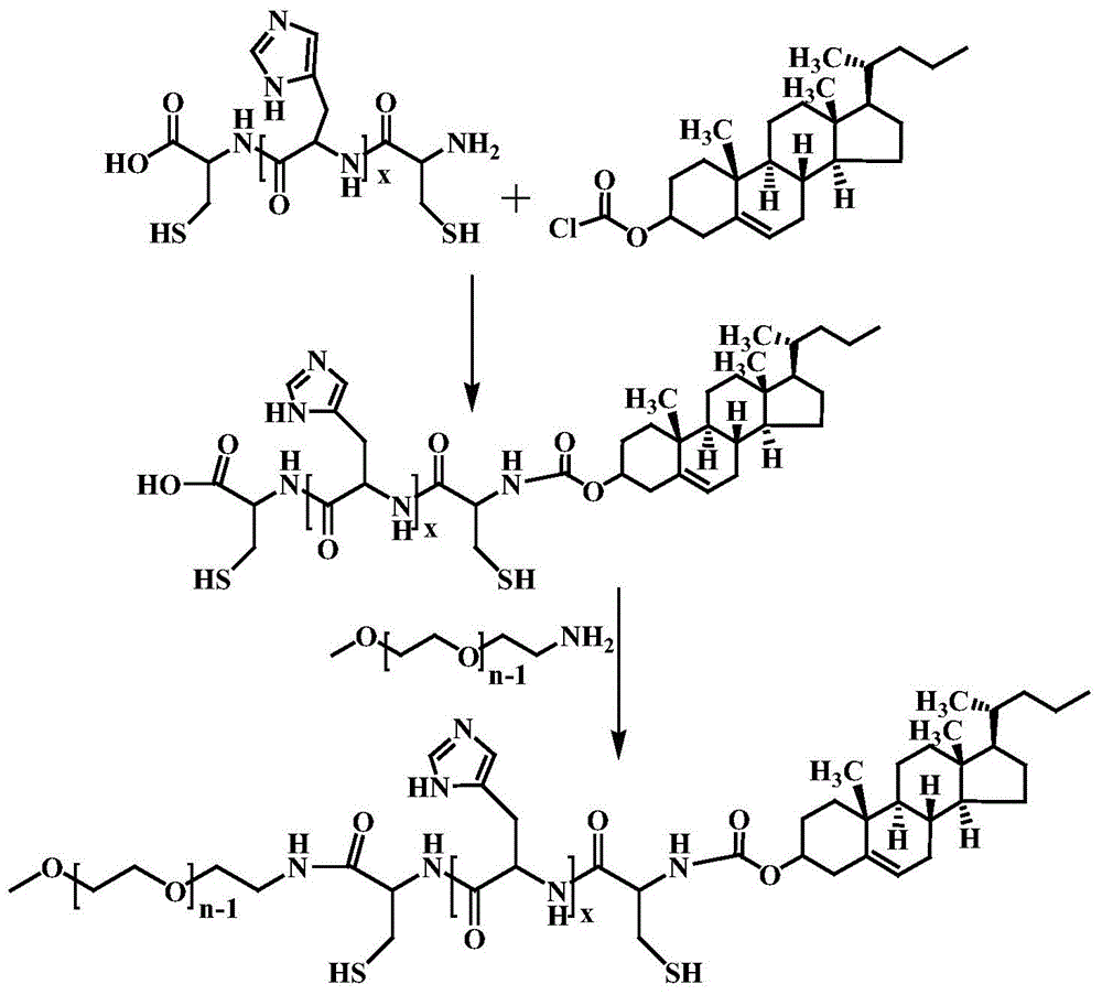 Cholesterol modification based pH response polypeptide polymer as well as preparation method and application thereof