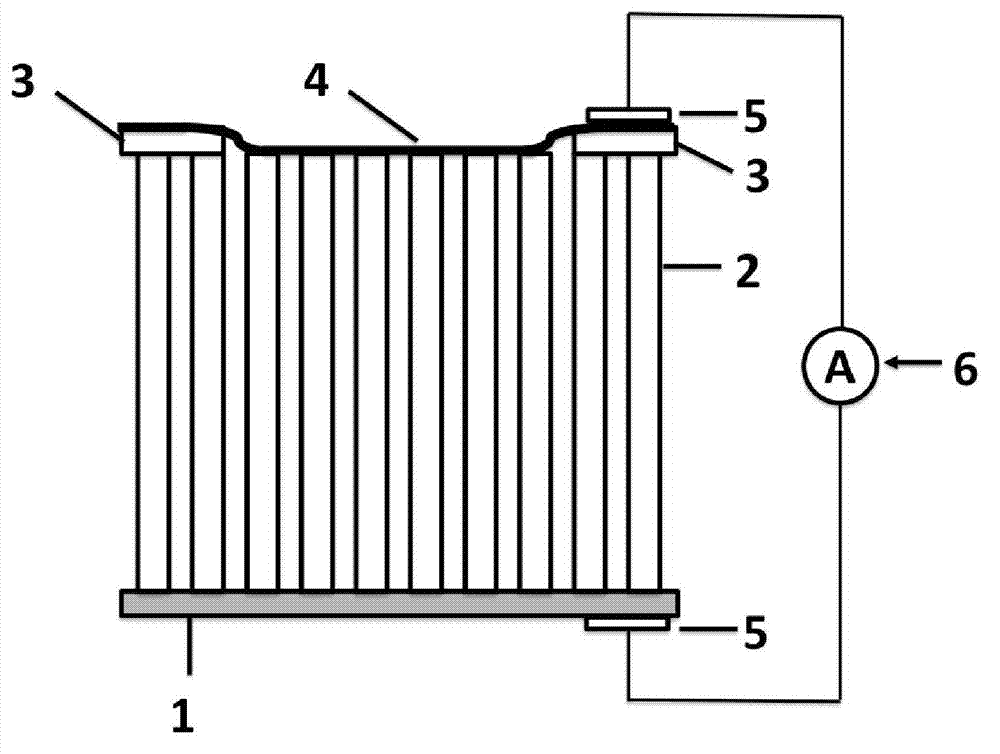 Ultraviolet light detector with titanium dioxide nanotube array serving as matrix and preparation method thereof