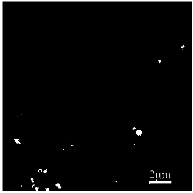 Preparation method of cobalt nanosphere