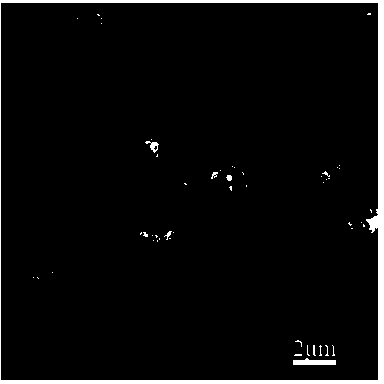 Preparation method of cobalt nanosphere