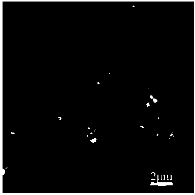 Preparation method of cobalt nanosphere