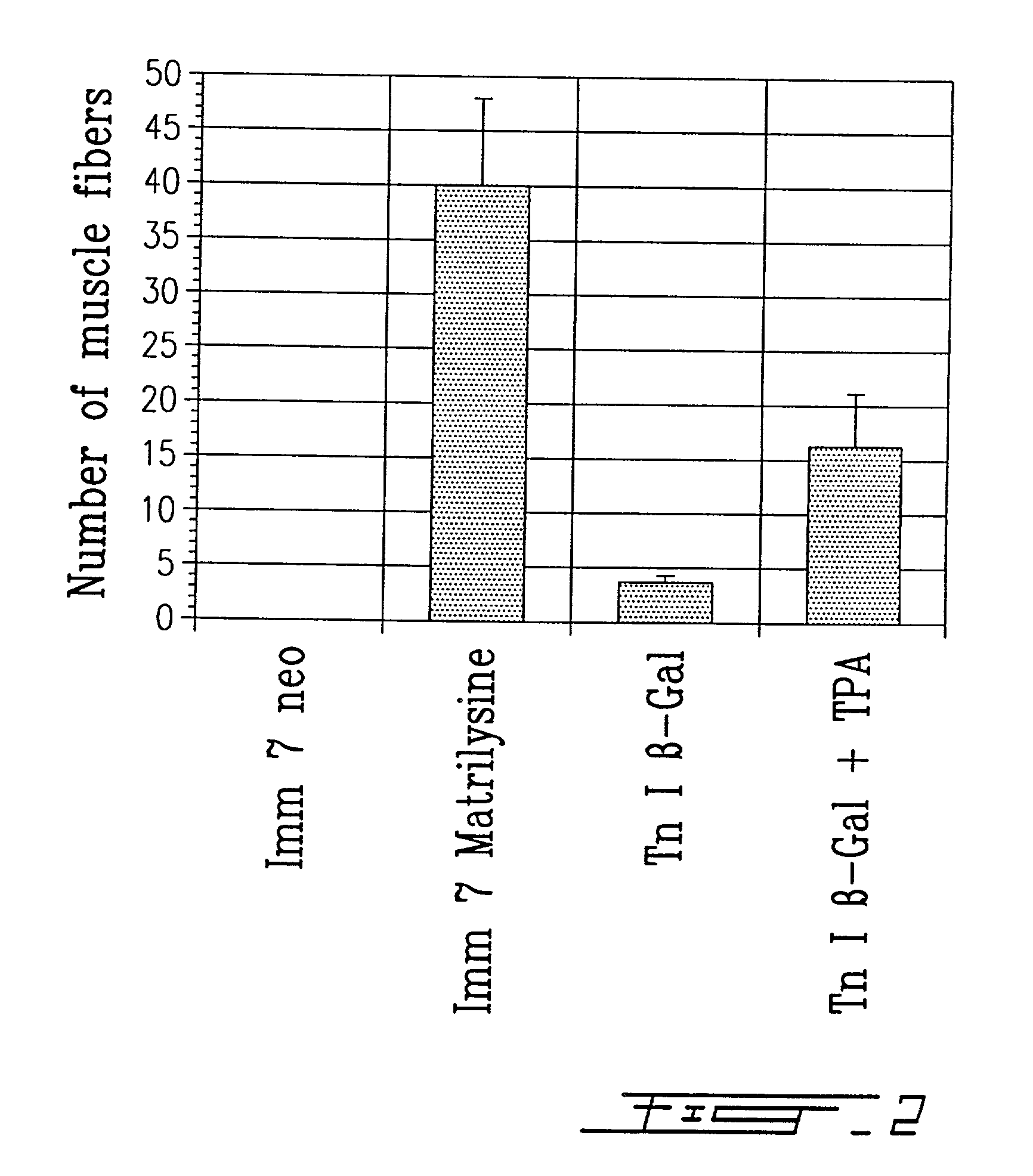 Method for in vitro preconditioning of myoblasts before transplantation