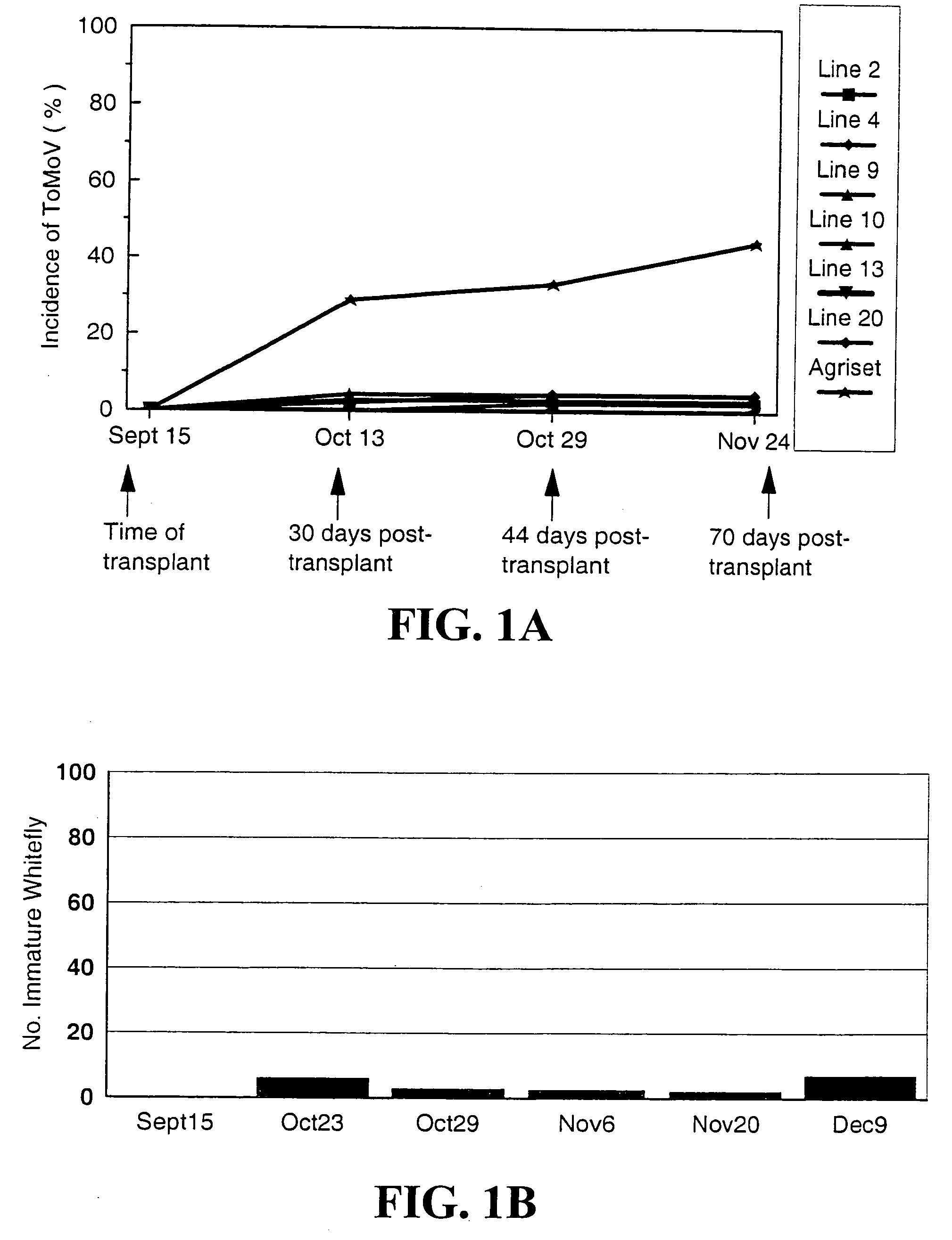 Materials and methods for producing geminivirus resistant plants