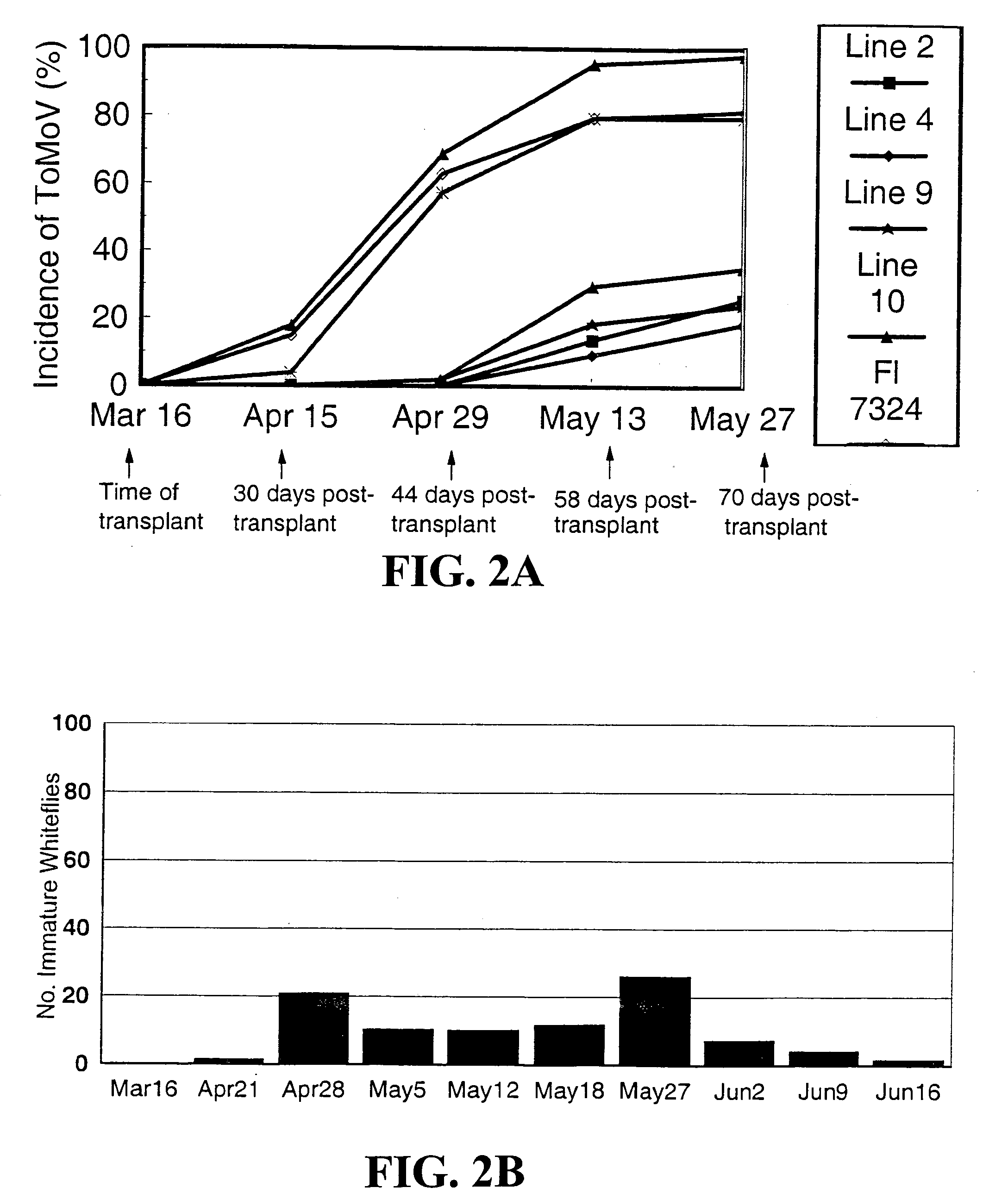 Materials and methods for producing geminivirus resistant plants