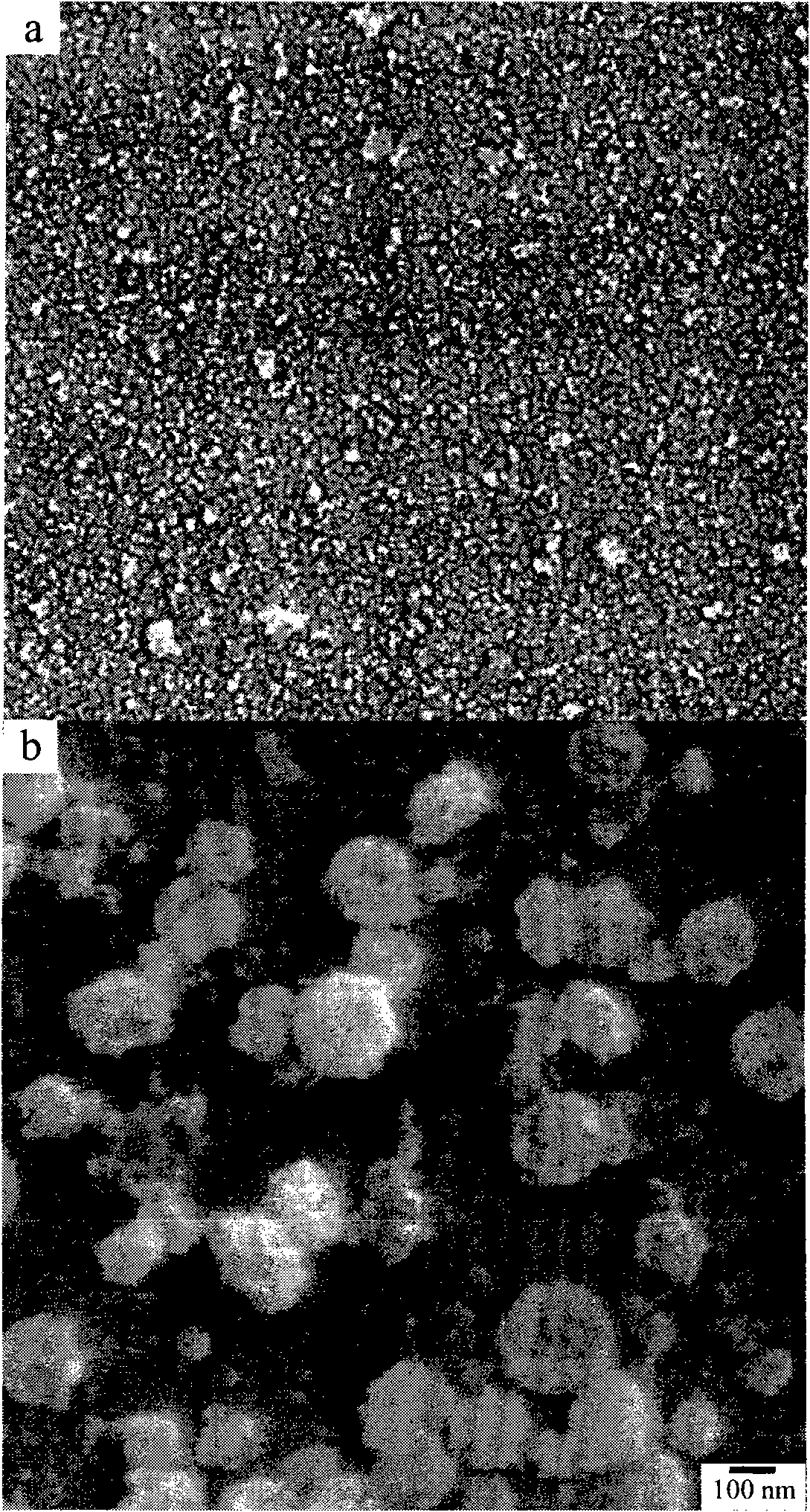 Transparent self-cleaning SiO2 anti-fogging coating and preparation method thereof