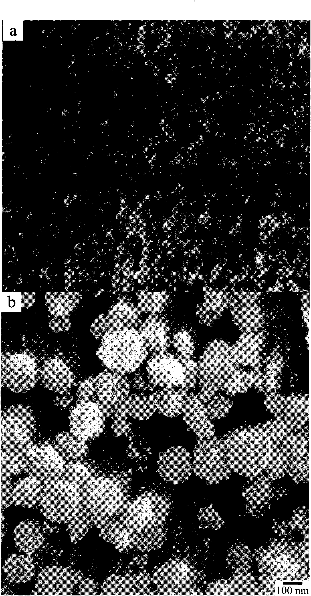 Transparent self-cleaning SiO2 anti-fogging coating and preparation method thereof