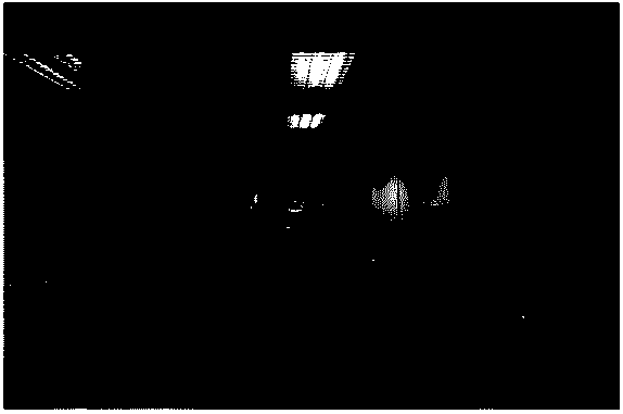 Camera calibration method of three-dimensional laser imaging system