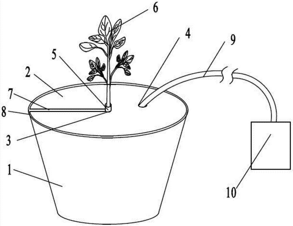 Cotton water-cultivating device