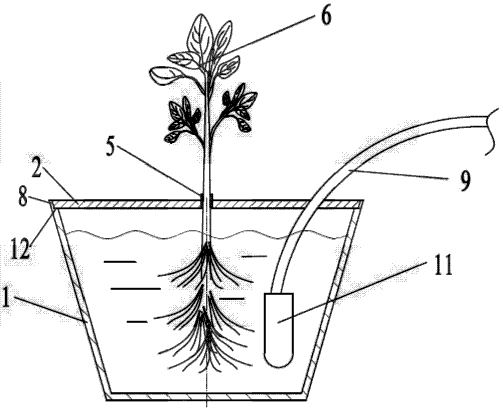 Cotton water-cultivating device