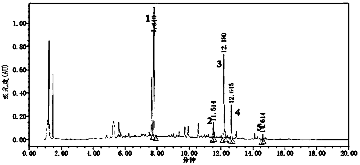 Linggui Zhugan decoction compound granules and preparation method thereof