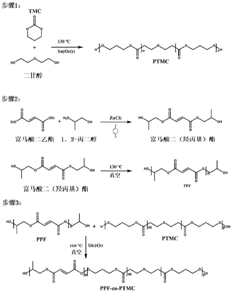 Novel crosslinkable and degradable multi-block copolymer, preparation method and application thereof