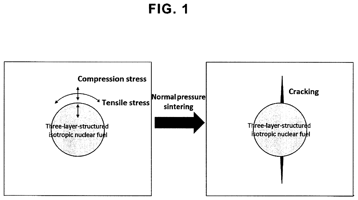 Fully ceramic capsulated nuclear fuel composition containing three-layer-structured isotropic nuclear fuel particles with coating layer having higher shrinkage than matrix, material thereof and method for preparing the same