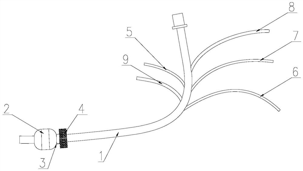 Airway management equipment with endoscope and monitoring function