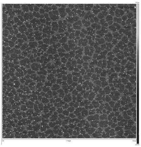 Ophthalmic composition and preparation method thereof