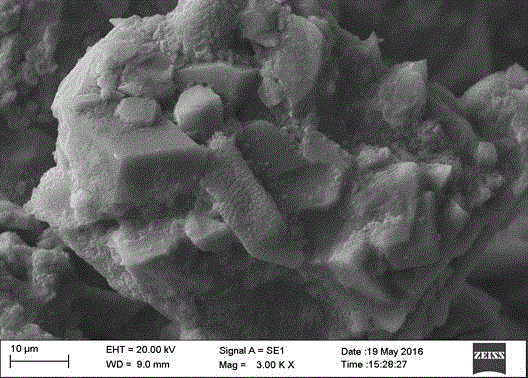 Retarder-free waterproof magnesium ammonium phosphate cement and preparation method thereof