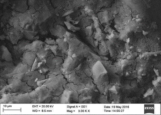 Retarder-free waterproof magnesium ammonium phosphate cement and preparation method thereof