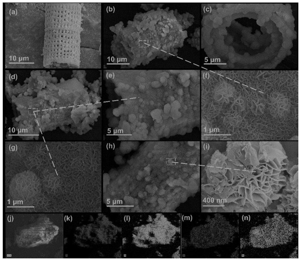 Application of diatomite-loaded magnetic nickel-iron layered double-metal hydroxide as cyanobacteria flocculant