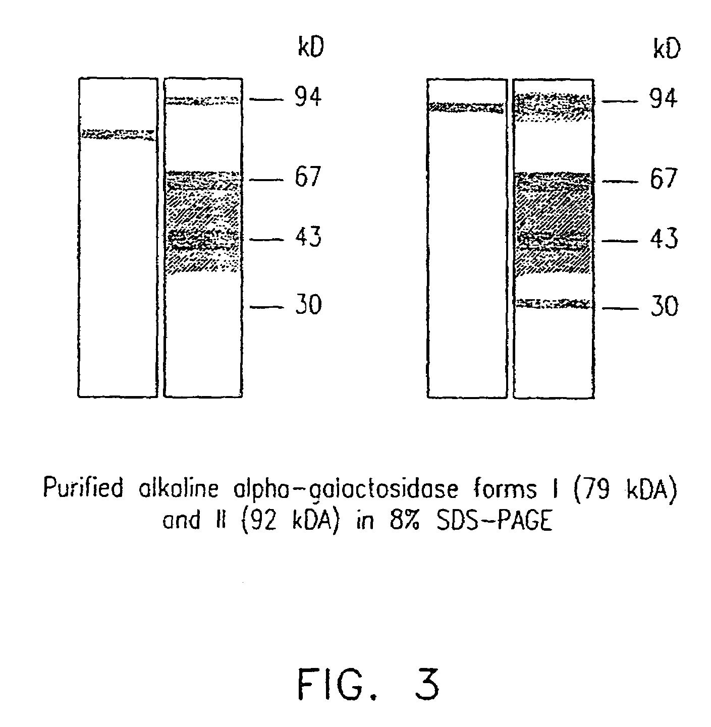 Plant-derived alkaline alpha-galactosidase