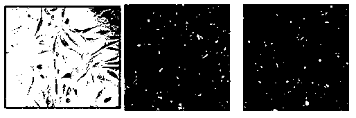 Bone defect repairing material, preparation method and applications thereof