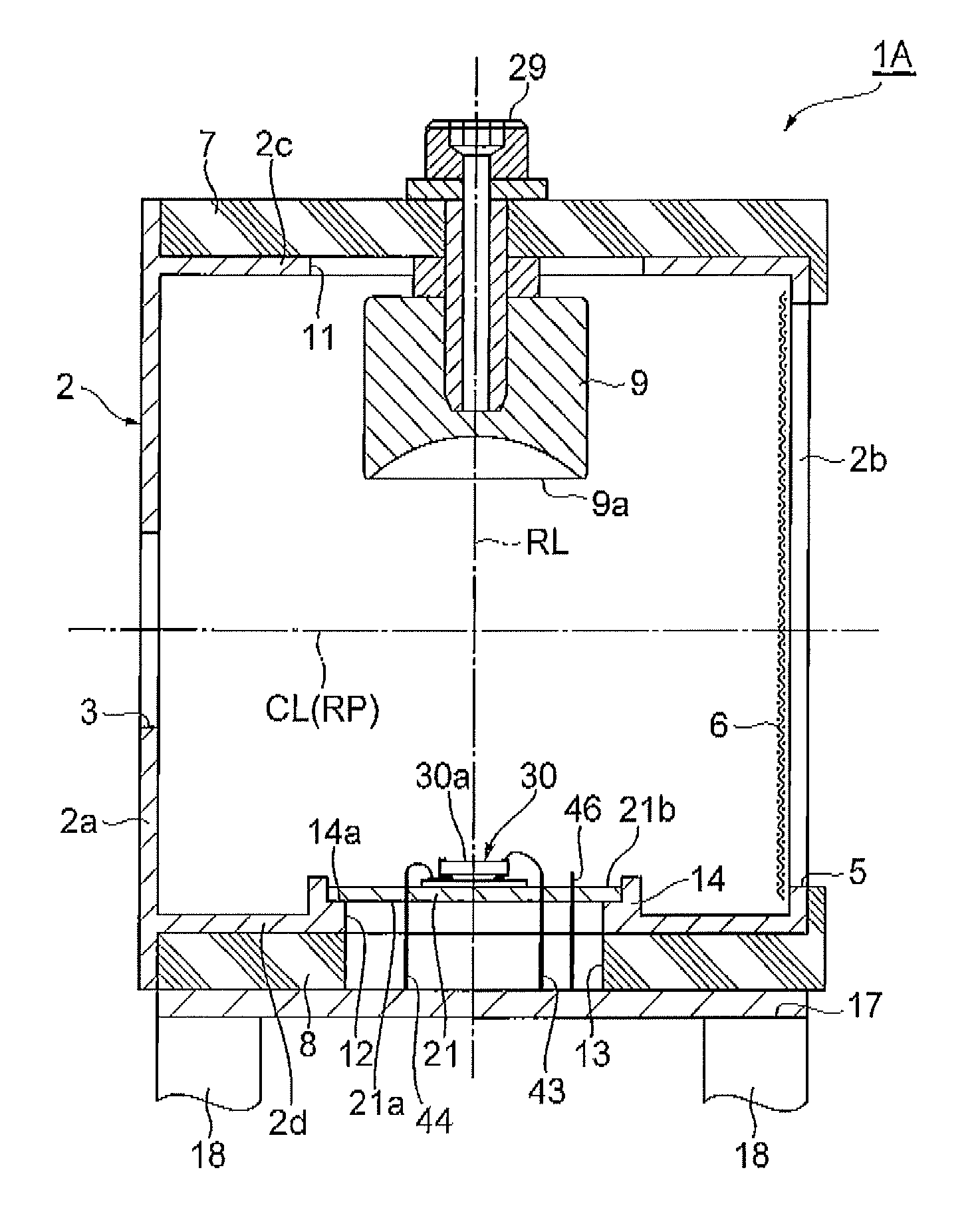 Ion detector