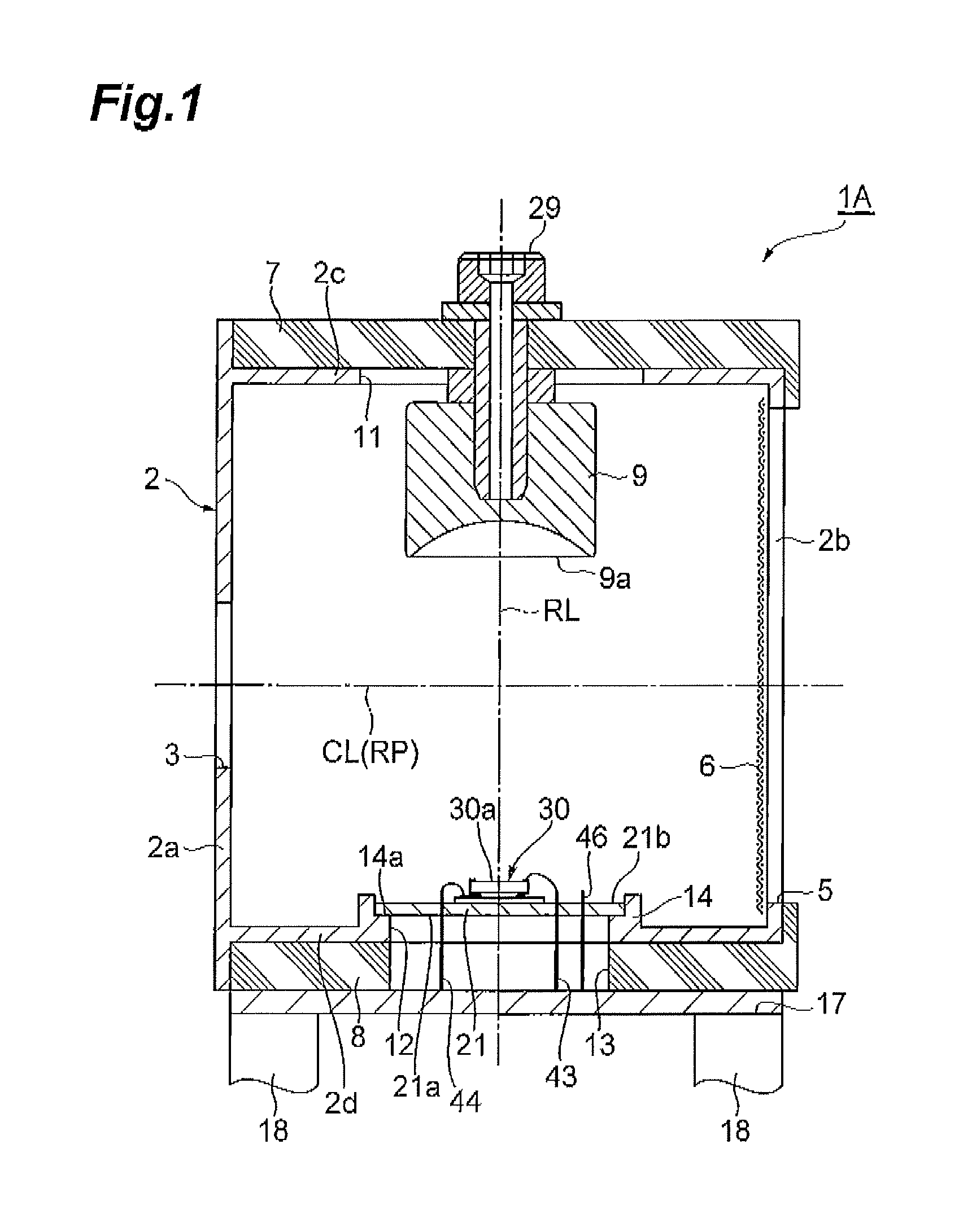 Ion detector