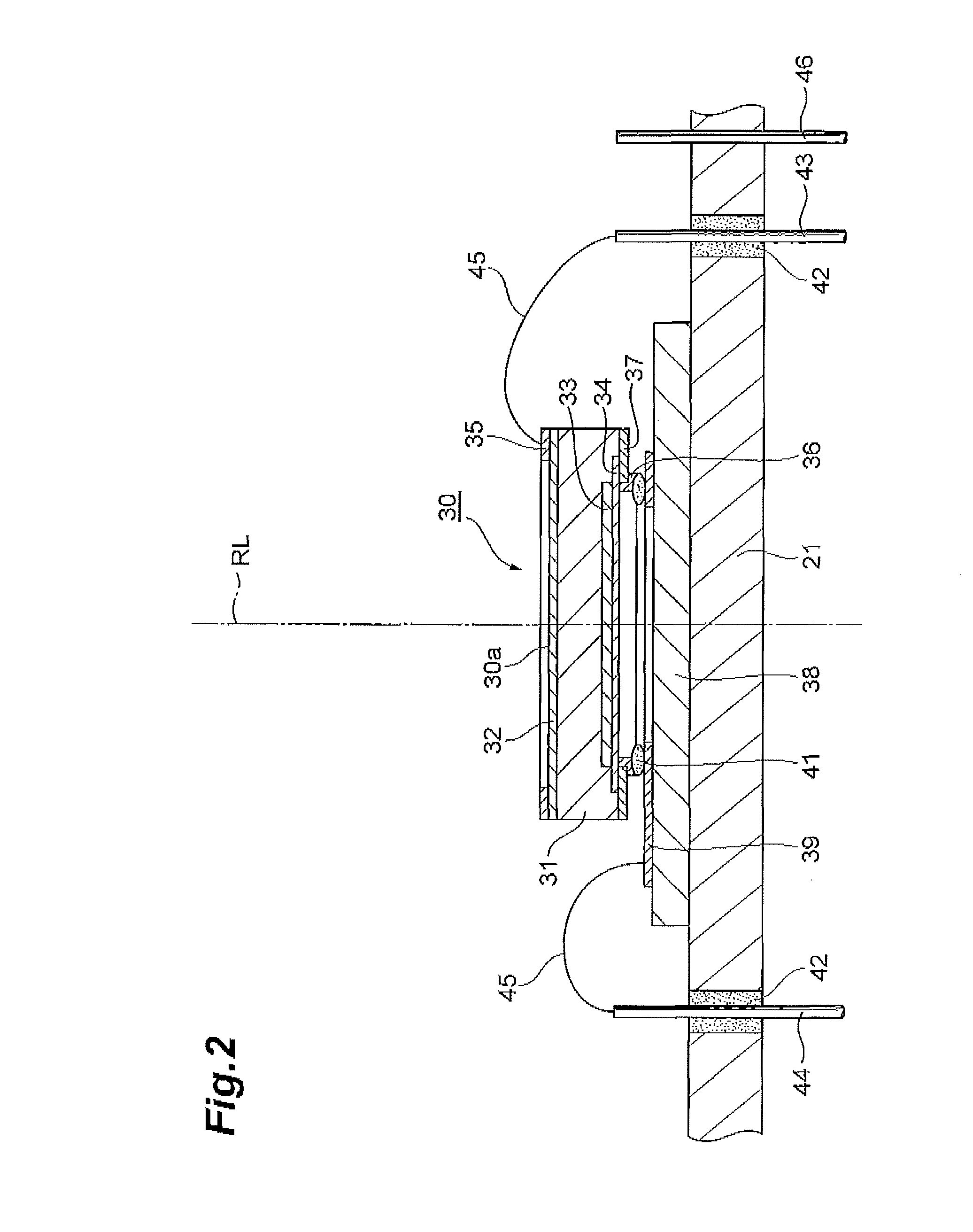 Ion detector