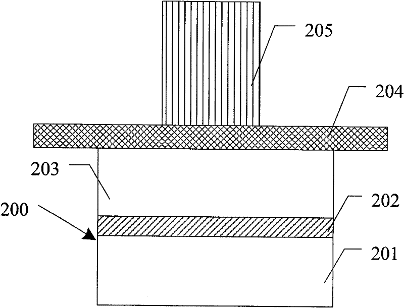 A kind of sample preparation method for transmission electron microscope observation