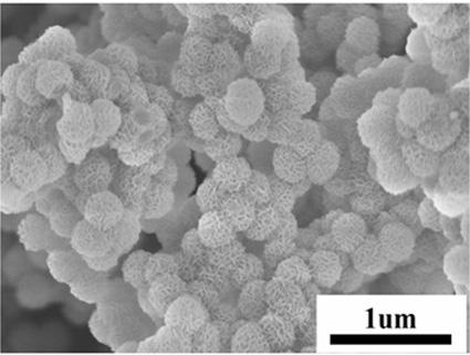 Preparation method of supported nickel-based catalyst and application of catalyst in catalytic hydrogenation of C5/C9 petroleum resin