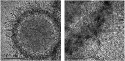 Preparation method of supported nickel-based catalyst and application of catalyst in catalytic hydrogenation of C5/C9 petroleum resin