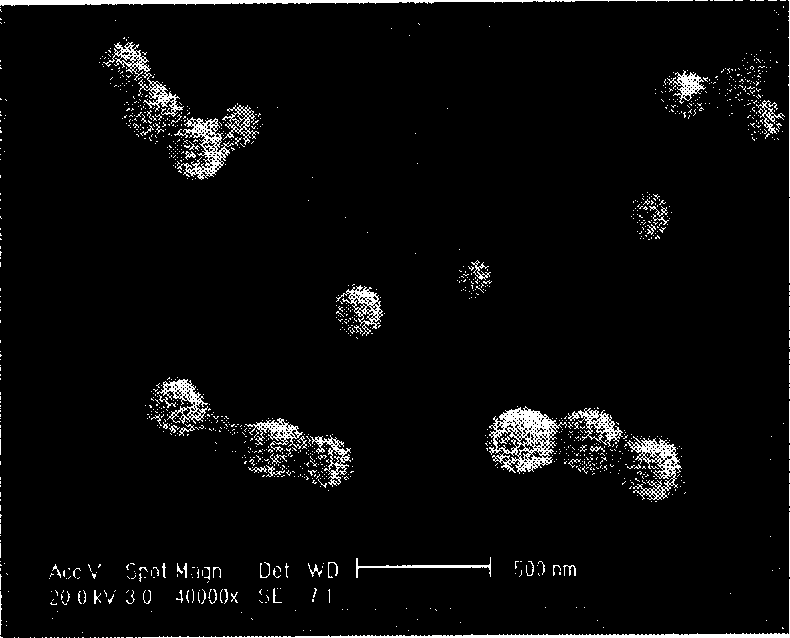 Process for preparing medicine-carrying particle containing surface transferrin for glioma target chemical therapy