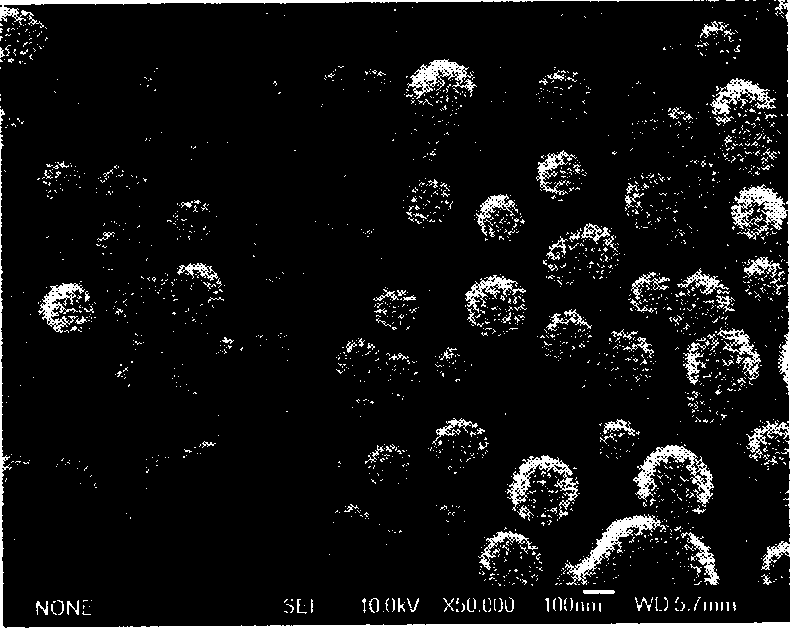 Process for preparing medicine-carrying particle containing surface transferrin for glioma target chemical therapy