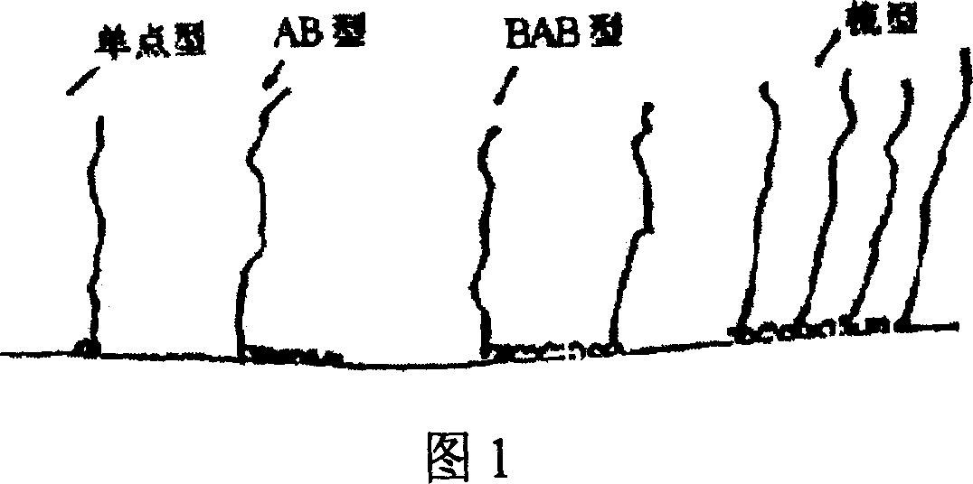 High performance water reducing agent in new type comb shaped molecular structure