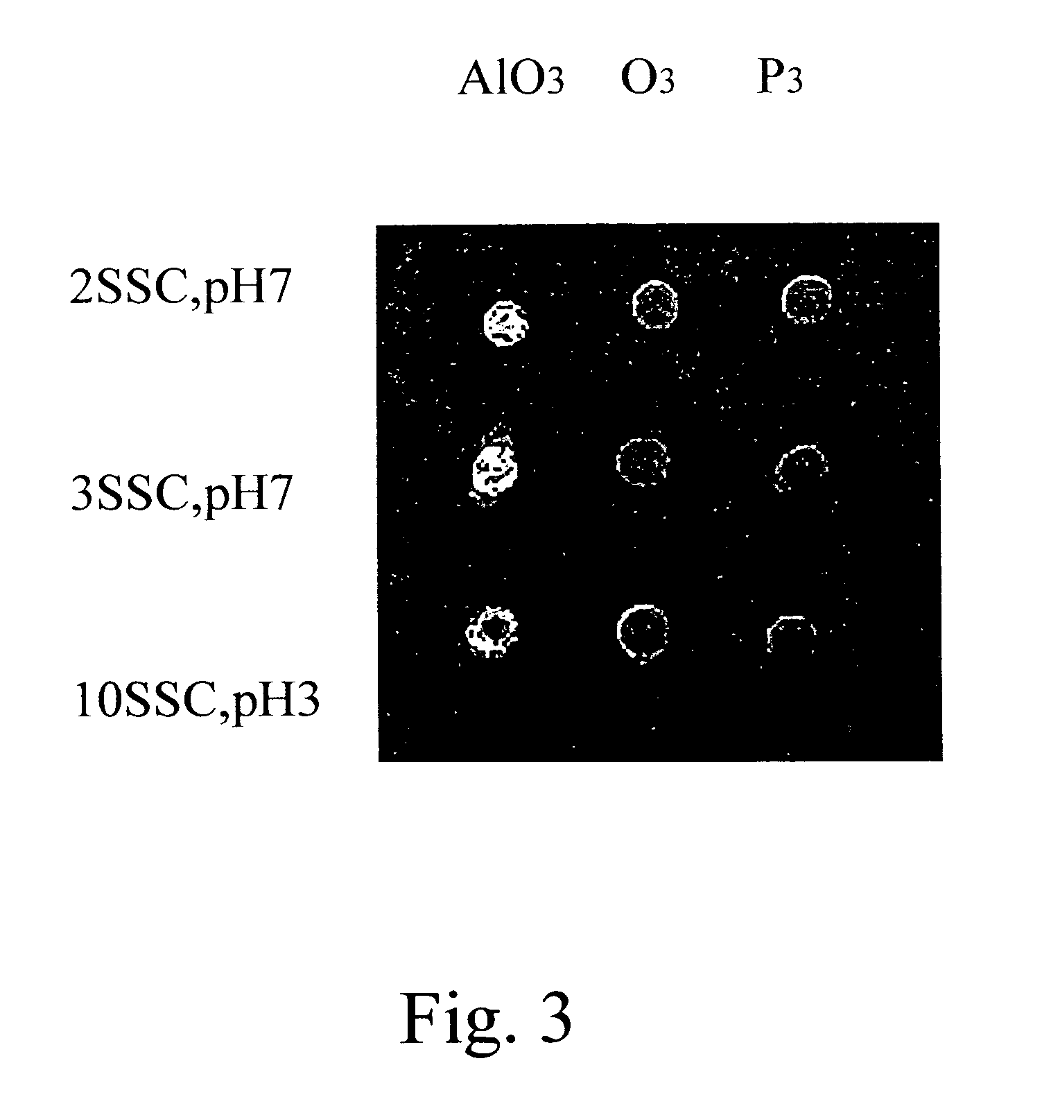 On-spot selectively activated hydrophobic slide and preparation thereof