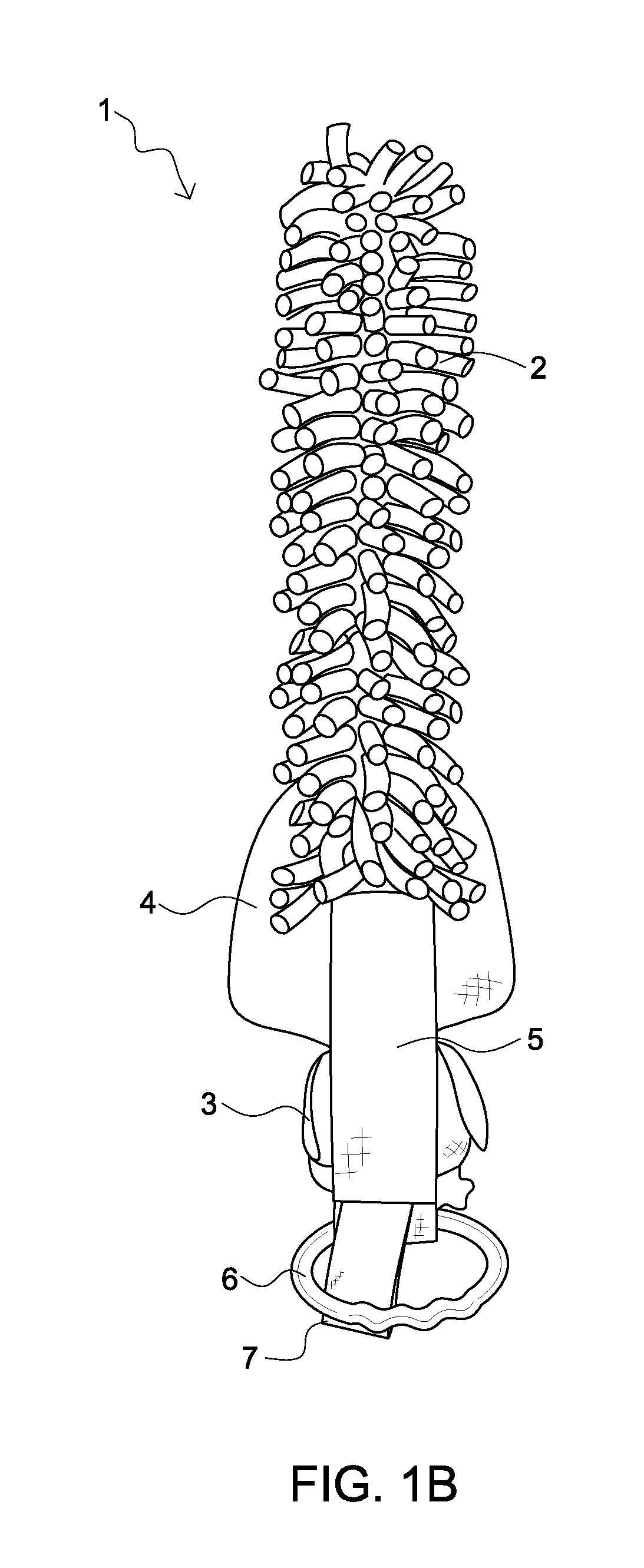 Parent-infant-interactive, sensory-stimulation toy and methods of use