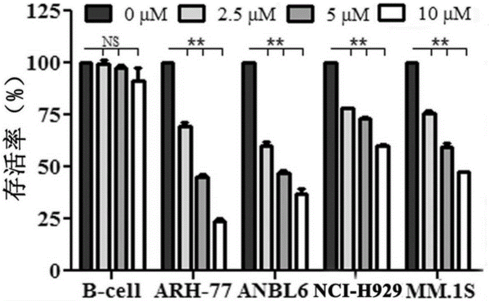 New application of lycorine serving as HMGB1 protein inhibitor