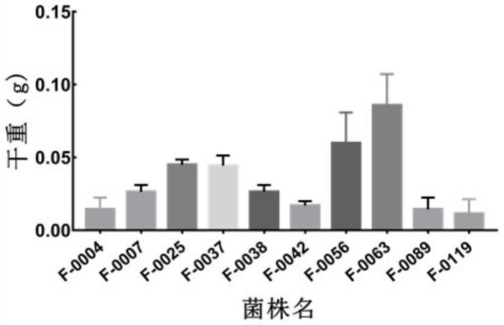 A Coptis chinensis Soil Ferulic Acid Degrading Bacteria and Its Application