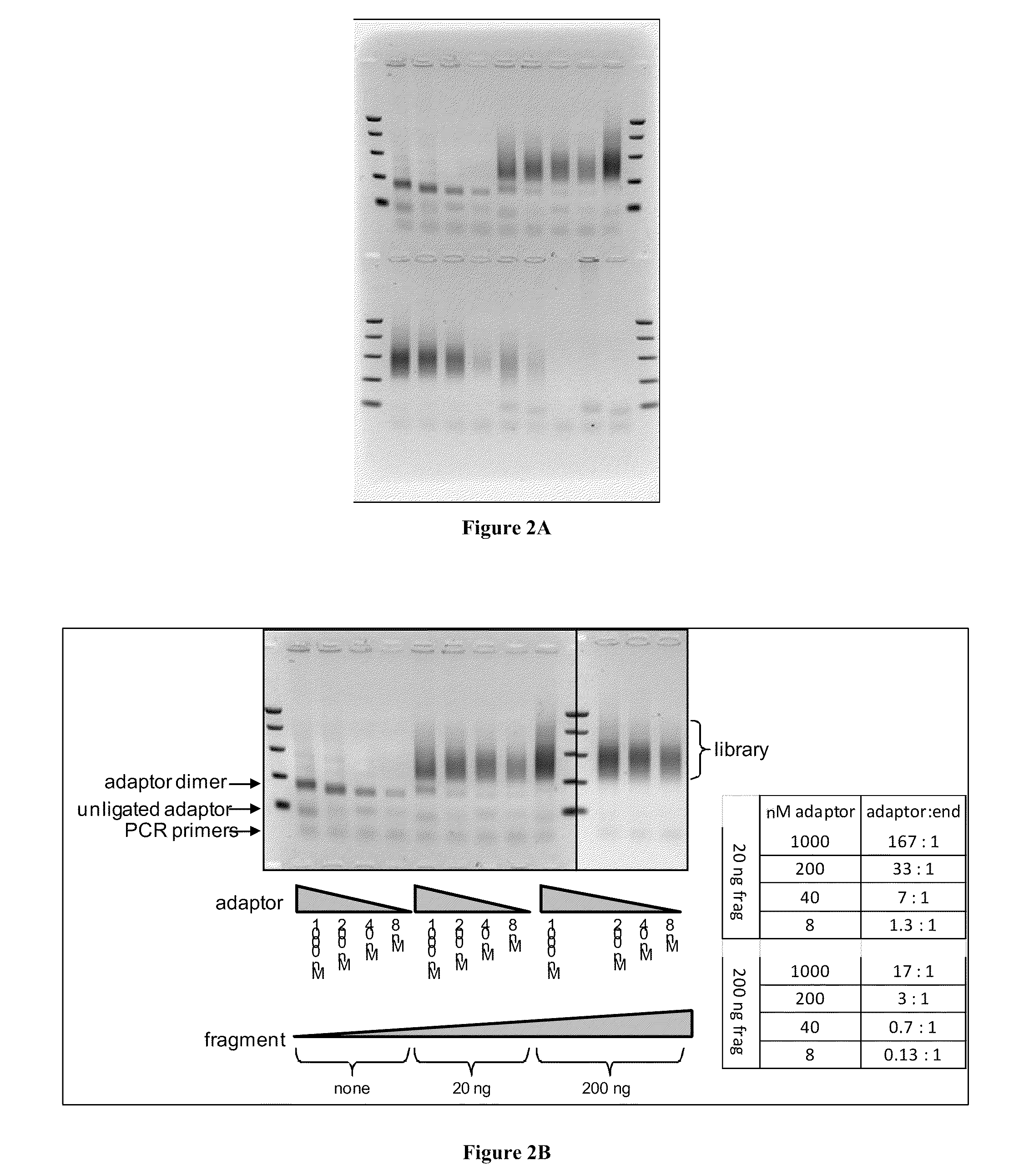 Methods and Compositions for Multiplex Sequencing