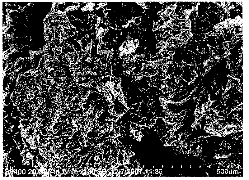 Double-gene activated bone-cartilage compound transplant, preparation method and application thereof