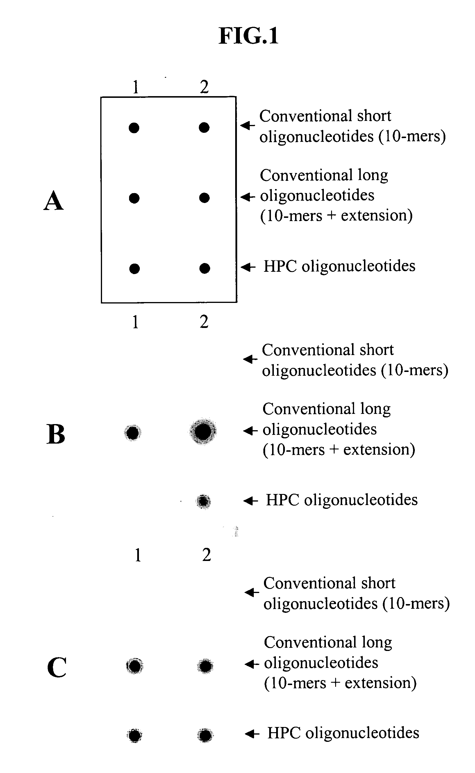 Hybridization portion control oligonucleotide and its uses